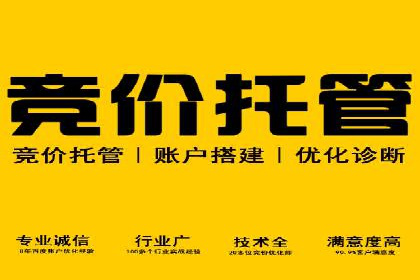 SEM广告投放的关键词选择与优化案例